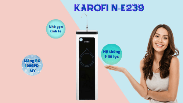 Máy lọc nước Karofi N-e239
